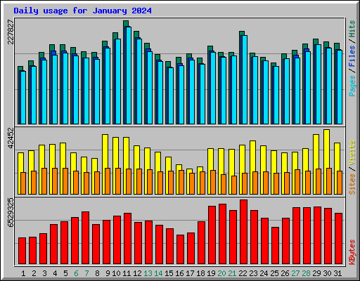 Daily usage for January 2024