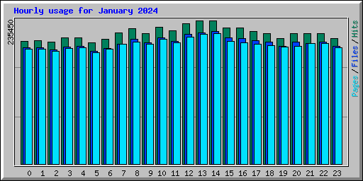 Hourly usage for January 2024