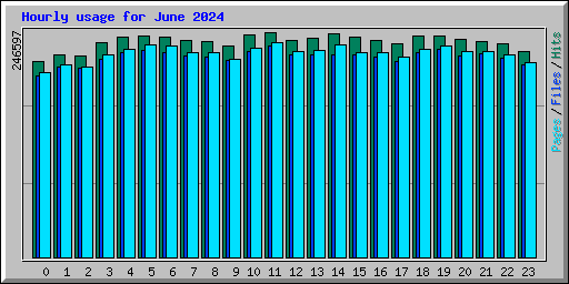 Hourly usage for June 2024