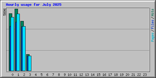 Hourly usage for July 2025