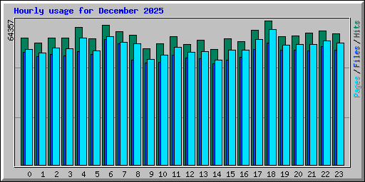 Hourly usage for December 2025