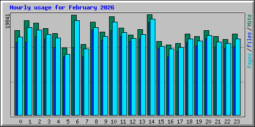Hourly usage for February 2026