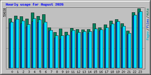 Hourly usage for August 2026